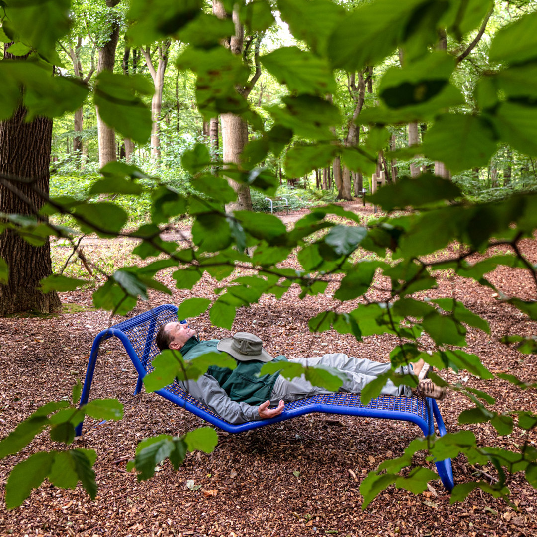 Ein Wald und sein Meer